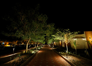 Illuminated Pathways